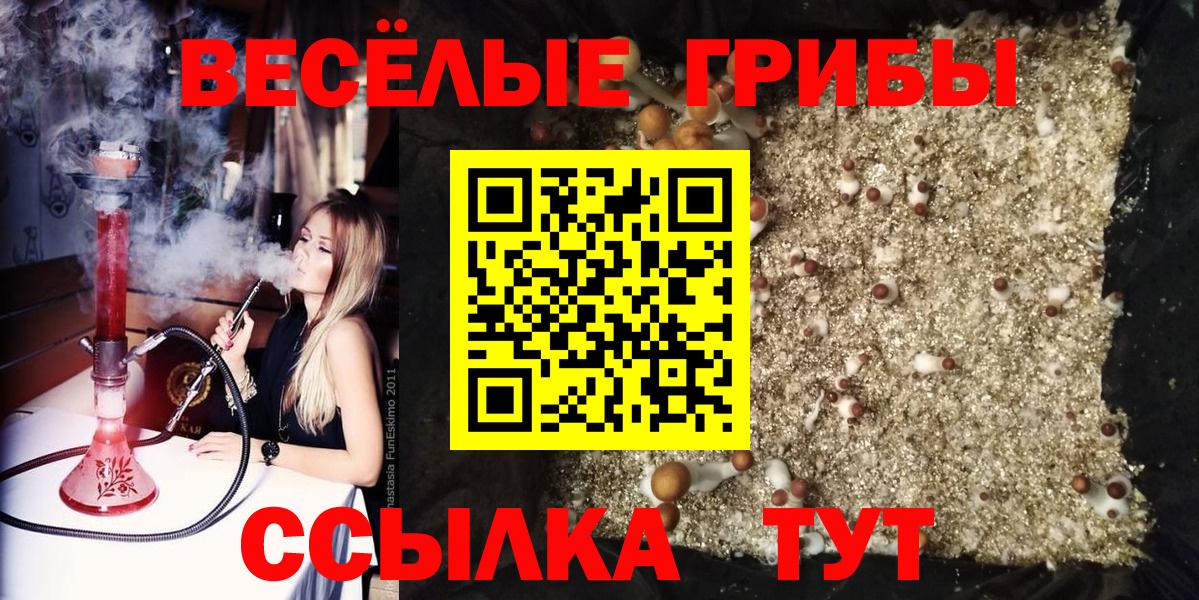 Псилоцибиновые грибы MAGIC MUSHROOMS Аргун