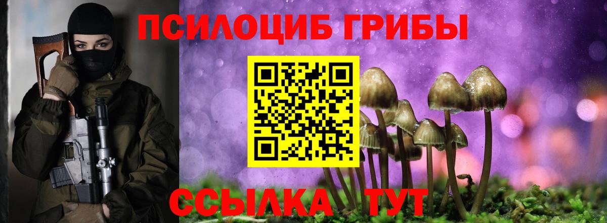 Аргун  Галлюциногенные грибы мицелий  Псилоцибиновые грибы мицелий  Вход с VPN 
